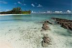 Denis Island, Seychelles, Indian Ocean, Africa