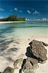 Denis Island, Seychelles, Indian Ocean, Africa