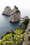 The rugged Faraglioni rocks in Capri, Campania, Italy, Mediterranean, Europe