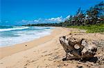 Sandy beach on Kapaa Beach Park on the island of Kauai, Hawaii, United States of America, Pacific