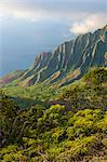 Kalalau lookout over the Napali coast from the Kokee State Park, Kauai, Hawaii, United States of America, Pacific