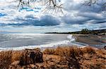 Glass beach in Port Allen, Kauai, Hawaii, United States of America, Pacific