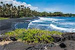 Punaluu Black Sand Beach on Big Island, Hawaii, United States of America, Pacific