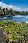 Punaluu Black Sand Beach on Big Island, Hawaii, United States of America, Pacific