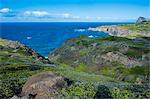 The rugged coastline of western Maui, Hawaii, United States of America, Pacific