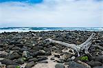 Huge pebbles on the Halawa beach in Halawa Bay on the island of Molokai, Hawaii, United States of America, Pacific