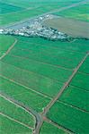 Aerial of Maui, Hawaii, United States of America, Pacific