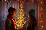 Young couple holding illuminated christmas tree