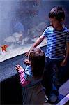 Young brother and sister looking at starfish in aquarium