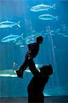 Father lifting young son to watch fish in aquarium