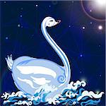 White swan floats on the waves under the night sky