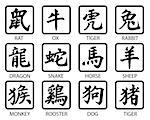 chinese zodiac on the white background