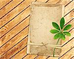 Old cards and green leaf on wooden planks