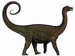 Saltasaurus was a sauropod dinosaur of the Cretaceous Period of Argentina.