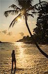 A woman underneath a palm tree on Mirissa Beach at sunset, South Coast of Sri Lanka, Southern Province, Sri Lanka, Asia