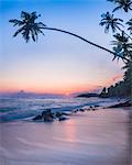 Palm tree at sunset on tropical Mirissa Beach, South Coast of Sri Lanka, Southern Province, Sri Lanka, Asia