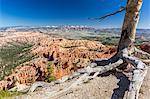 Bryce Canyon Amphitheater from Bryce Point, Bryce Canyon National Park, Utah, United States of America, North America