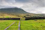 Evening light at Ingleborough Mountain, Ingleborough National Nature Reserve, Yorkshire Dales, North Yorkshire, England, United Kingdom, Europe