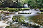 Westburton Waterfall, Westburton, Yorkshire Dales, Yorkshire, England, United Kingdom, Europe