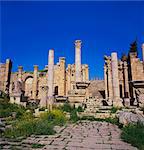 Temple of Artemis, Jerash, Jordan, Middle East