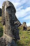 Moai in the Rano Raraku volcanic crater formed of consolidated ash (tuf), Easter Island, UNESCO World Heritage Site, Chile, South America