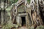 Ta Prohm temple dating from the mid 12th to early 13th centuries, Angkor, UNESCO World Heritage Site, Siem Reap, Cambodia, Indochina, Southeast Asia, Asia