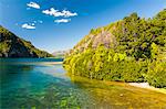 Crystal clear water in the Los Alerces National Park, Chubut, Patagonia, Argentina, South America