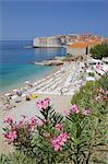 View of Old Town, UNESCO World Heritage Site, and Ploce Beach, Dubrovnik, Dalmatia, Croatia, Europe