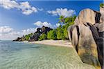 Rock Formations and Palm Trees, Anse Source d´Argent, La Digue, Seychelles