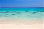 Anse Intendance Beach with Turqouise Water, Mahe, Seychelles