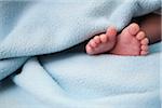 Close-up of infant's feet surrounded by blanket, studio shot