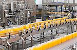 Packed bottles moving on conveyor belt in bottling industry