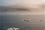 Cape Waring, Wrangel Island, UNESCO World Heritage Site, Chuckchi Sea, Chukotka, Russian Far East, Russia, Eurasia