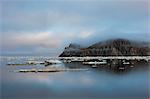 Cape Waring, Wrangel Island, UNESCO World Heritage Site, Chuckchi Sea, Chukotka, Russian Far East, Russia, Eurasia