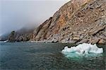 Cliffs at Herald Island, UNESCO World Heritage Site, Chuckchi Sea, Russian Far East, Russia, Europe