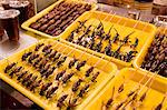 Deep fried grasshoppers, silkworms and scorpions for sale in the Night Market, Wangfujing Street, Beijing, China