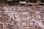 The salt mines of Las Salinas de Maras, where each little plot is individually owned, Peru, South America