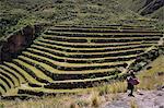 Inca terracing in the Sacred Valley, Pissac, Peru, South America