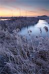Winter scene in the Norfolk Broads near Ludham Bridge, Norfolk, United Kingdom, Europe