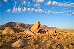 Boulders on the plains below the Brandberg mountain range at sunrise, Damaraland, Namibia, Africa