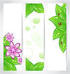 Illustration set of bio concept design eco friendly banners - vector