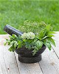 Fresh herbs in mortar on garden table