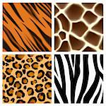 A set of detailed animal print seamless patterns or textures. Giraffe, cheetah or leopard, zebra and tiger skins