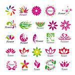Collection of vector multicolored floral logos