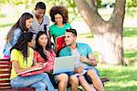 Group of college students studying on bench at campus