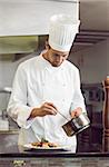 Portrait of a concentrated male chef garnishing food in the kitchen