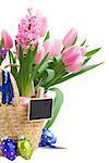 pink hyacinth and tulips  flowers with easter eggs  isolated on white background