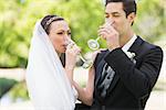 Newlywed couple drinking champagne in the park