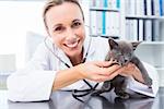 Portrait of female vet examining kitten with stethoscope in clinic