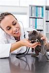 Female veterinarian checking kitten with stethoscope in clinic